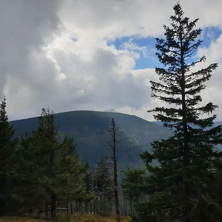 Apartament Lawendowy Z Garażem, Tarasem I Widokiem Na śnieżkę Triventi Karpacz