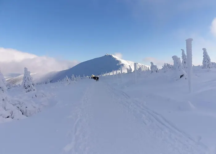 Lawendowy Z Garażem, Tarasem I Widokiem Na śnieżkę Triventi