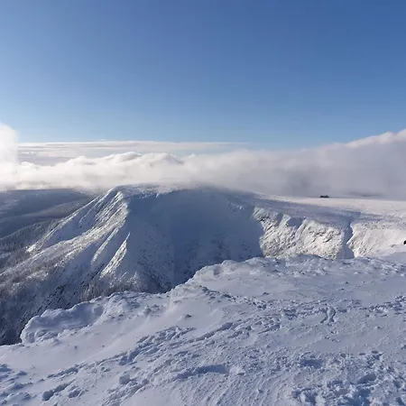 Lägenhet Lawendowy Z Garazem, Tarasem I Widokiem Na Sniezke Triventi