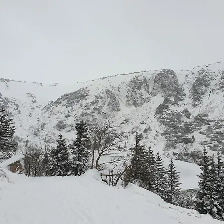 Lawendowy Z Garazem, Tarasem I Widokiem Na Sniezke Triventi アパート カルパッチ