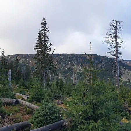 Lawendowy Z Garazem, Tarasem I Widokiem Na Sniezke Triventi *