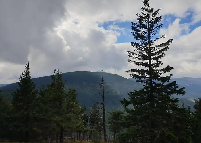 Appartement Lawendowy Z Garazem, Tarasem I Widokiem Na Sniezke Triventi Karpacz