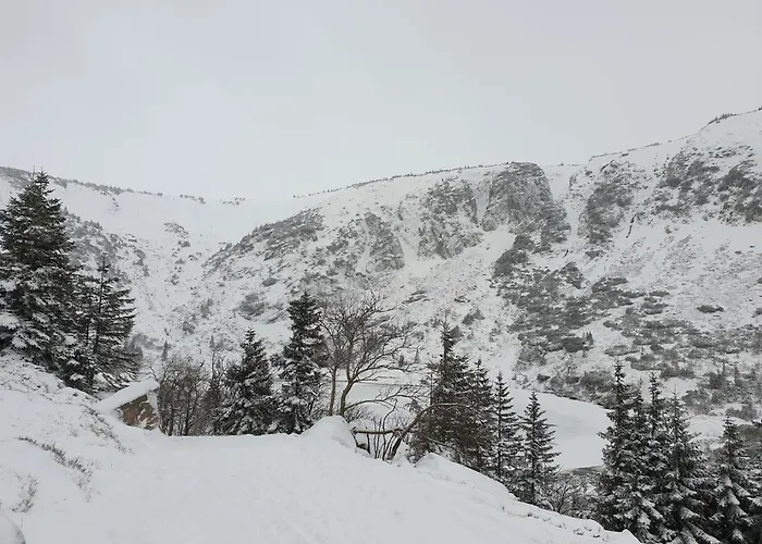 Lawendowy Z Garazem, Tarasem I Widokiem Na Sniezke Triventi Appartement Karpacz