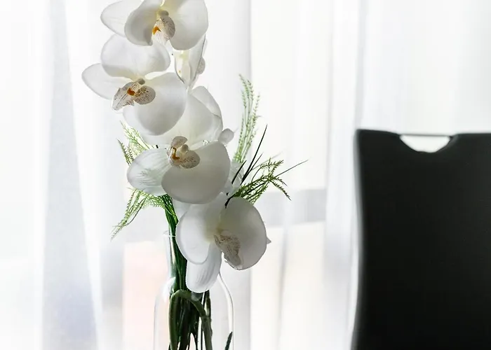 Appartement Lawendowy Z Garazem, Tarasem I Widokiem Na Sniezke Triventi *