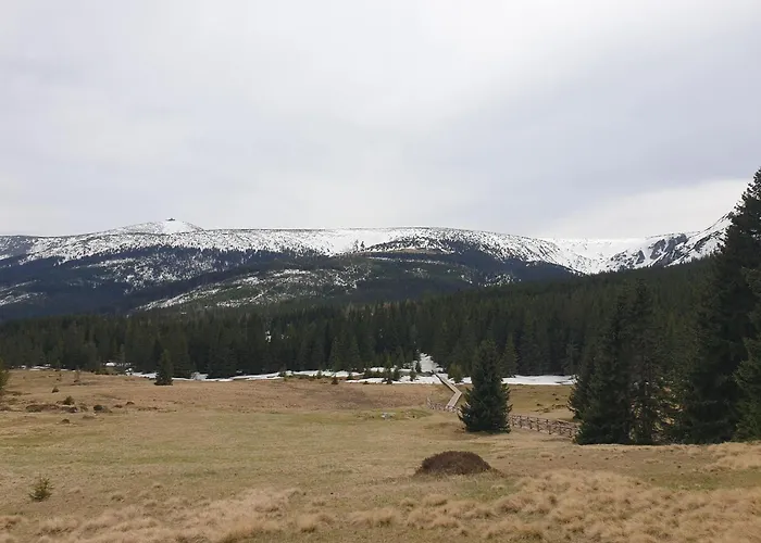 Lawendowy Z Garazem, Tarasem I Widokiem Na Sniezke Triventi Appartement Karpacz