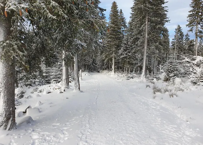 Appartement Lawendowy Z Garazem, Tarasem I Widokiem Na Sniezke Triventi Karpacz