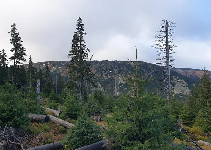 Lawendowy Z Garazem, Tarasem I Widokiem Na Sniezke Triventi *